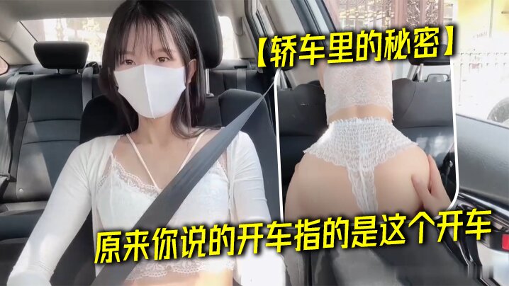 轿车里的秘密原来你说的开车指的的是这个开车